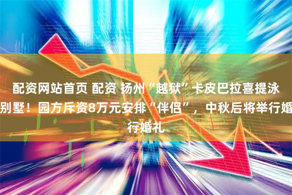 配资网站首页 配资 扬州“越狱”卡皮巴拉喜提泳池别墅！园方斥资8万元安排“伴侣”，中秋后将举行婚礼