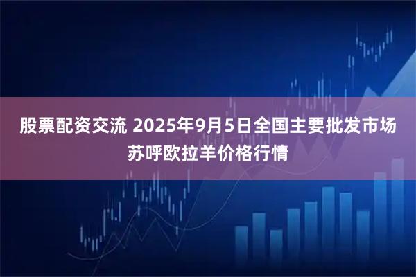 股票配资交流 2025年9月5日全国主要批发市场苏呼欧拉羊价格行情