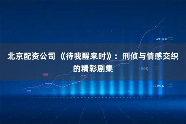 北京配资公司 《待我醒来时》：刑侦与情感交织的精彩剧集