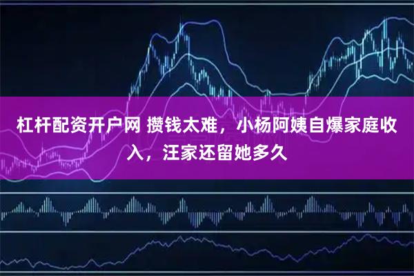 杠杆配资开户网 攒钱太难，小杨阿姨自爆家庭收入，汪家还留她多久