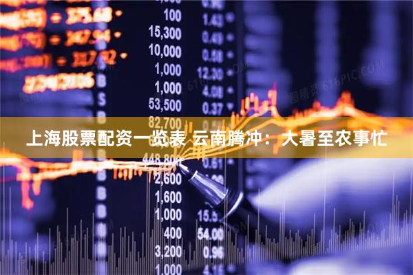 上海股票配资一览表 云南腾冲：大暑至农事忙
